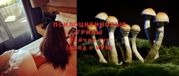 мяу мяу мука Богородицк