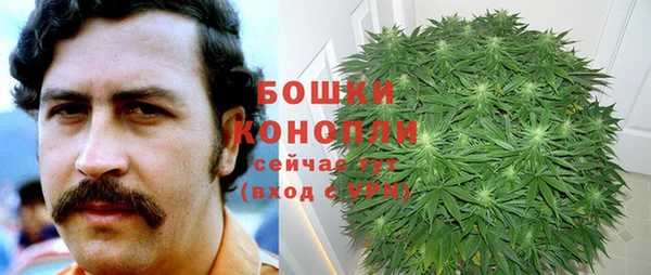 прущая мука Богданович